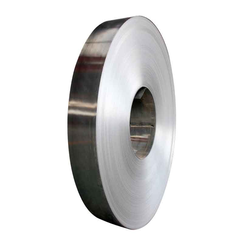 Stainless Steel Strip